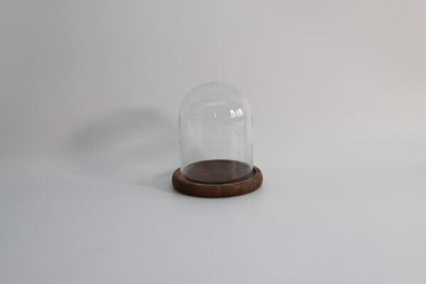 ウッドベース・グラスドーム｜AH250000105