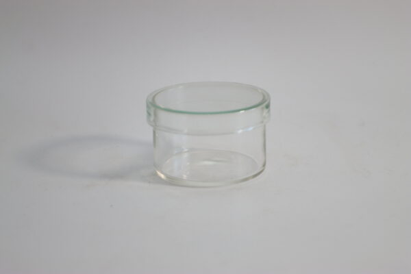 ガラス製シャーレ（中）｜EC250700014