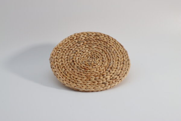 ウォーターヒヤシンス_ラウンドトレイ | AI250000154