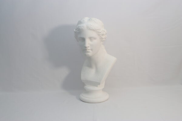 石膏像B｜AH250000135