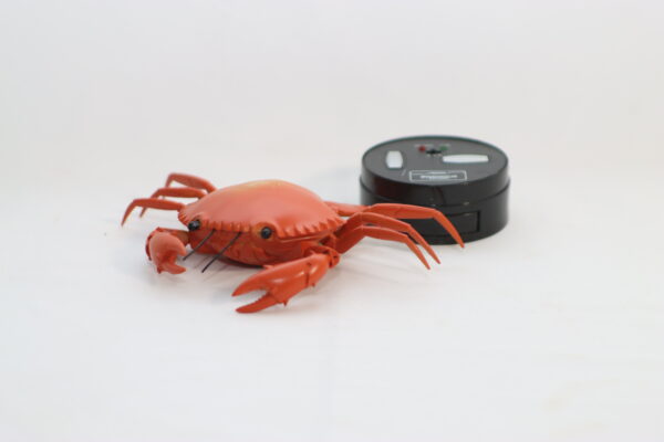 IRアクティブ・クラブラジコン｜ED250000059