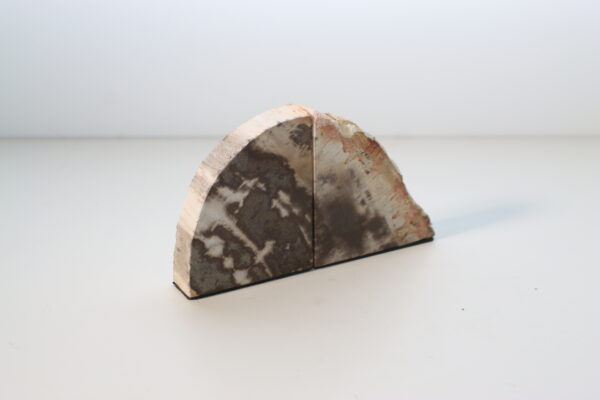 ペトリファイドウッド・ブックエンド｜AH250000303