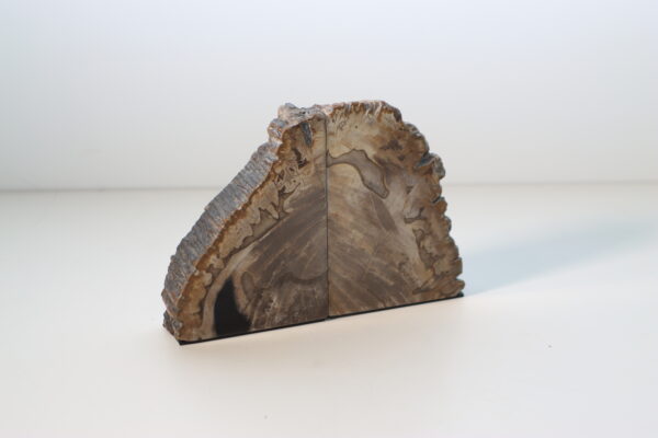 ペトリファイドウッド・アシンメトリーブックエンド｜AH250000304